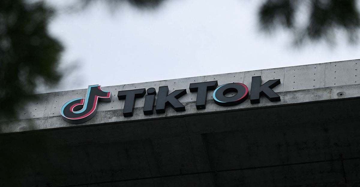 যুক্তরাজ্যের পর টিকটক নিষিদ্ধ হচ্ছে নিউজিল্যান্ডেও