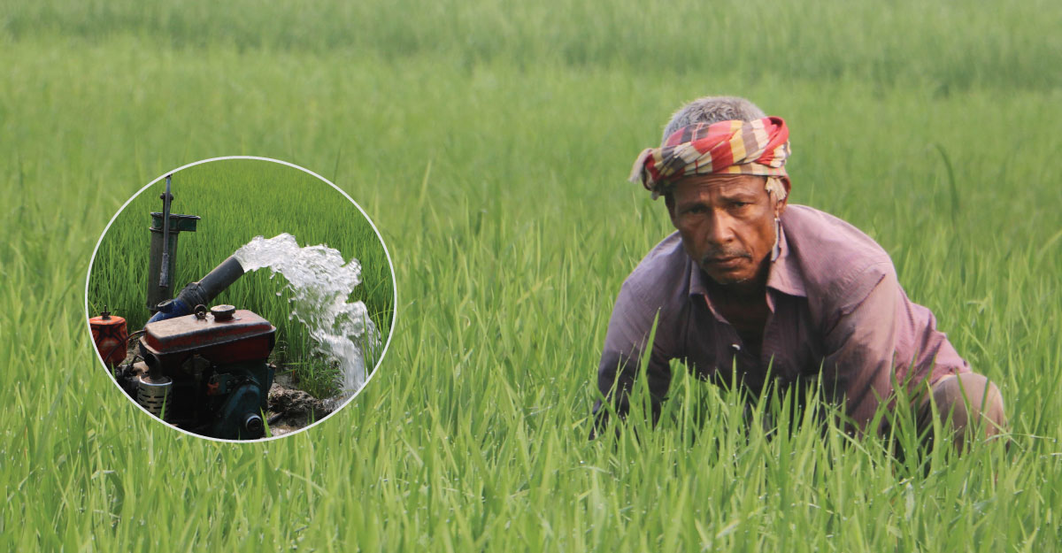 বোরো চাষে বাড়তি খরচ, শঙ্কায় কৃষক
