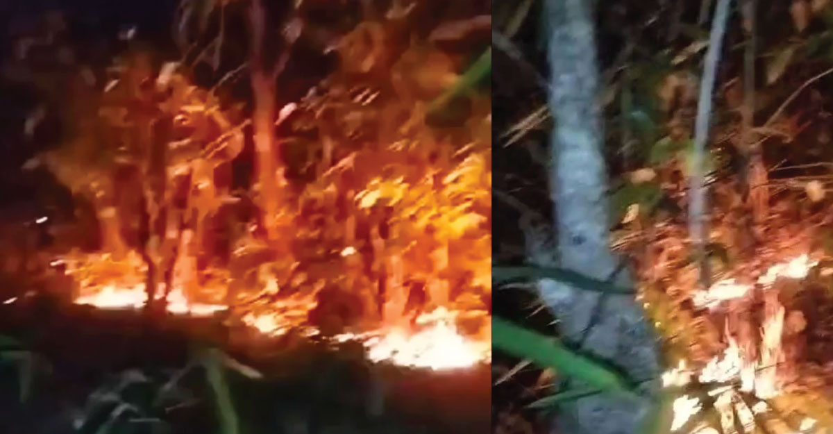 কমলগঞ্জের লাউয়াছড়া বনে আগুন