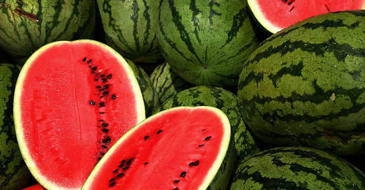 watermelon