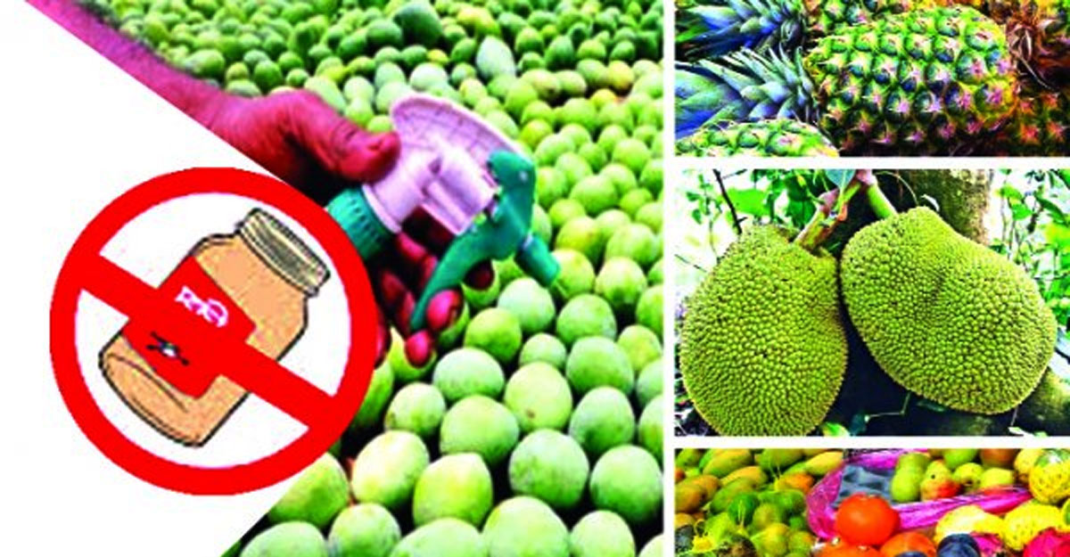 ইসলামে কেমিক্যাল দিয়ে আম-কাঁঠাল পাকানোর শাস্তি