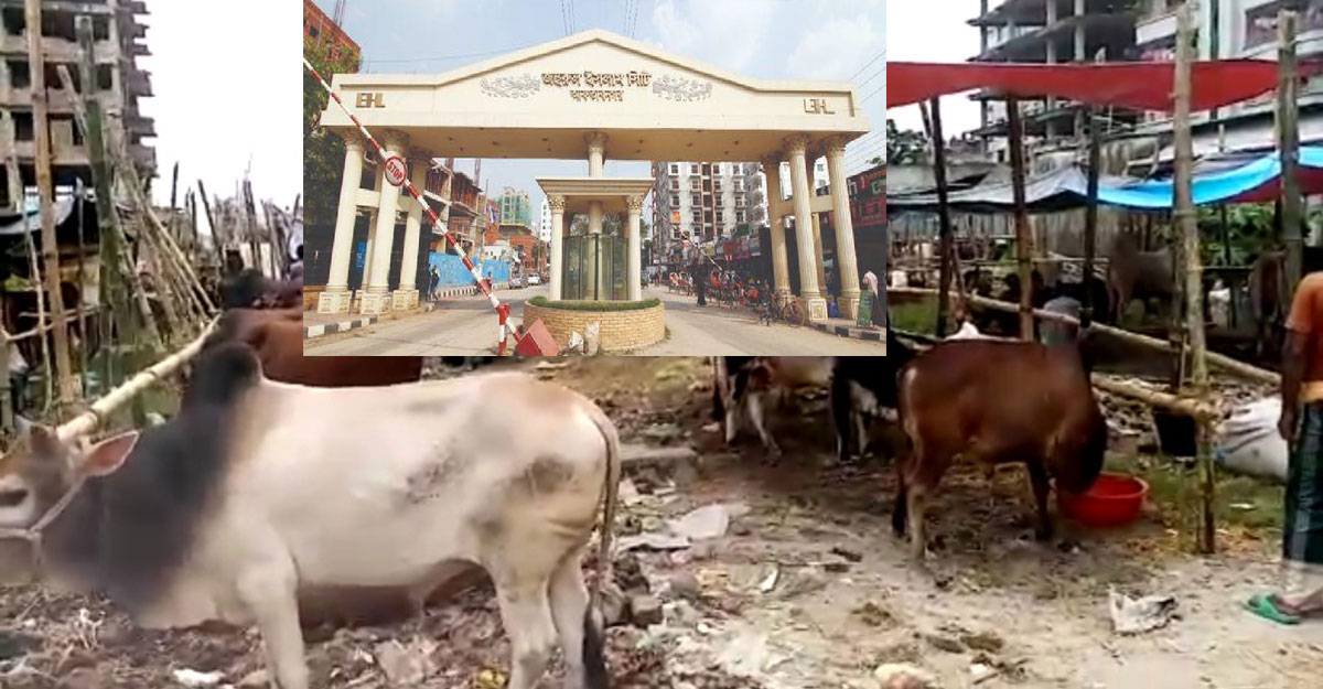 আফতাবনগরে গরুর হাটের ইজারা স্থগিতই থাকছে