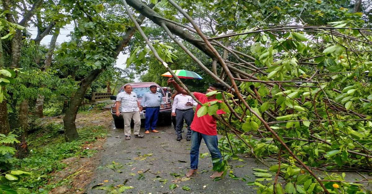 মদনে কালবৈশাখী ঝড়ে শতাধিক বাড়িঘর বিধ্বস্ত, বিদ্যুৎ সংযোগ বন্ধ