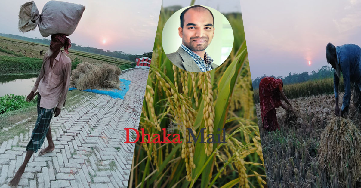 সোনালি ধানে কৃষকের হাসি