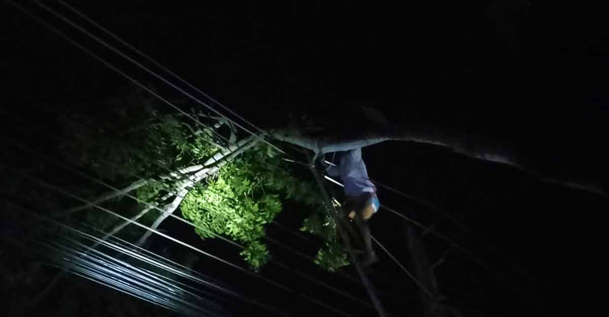 যশোরে ২০ মিনিটের কালবৈশাখী ঝড়ে লণ্ডভণ্ড