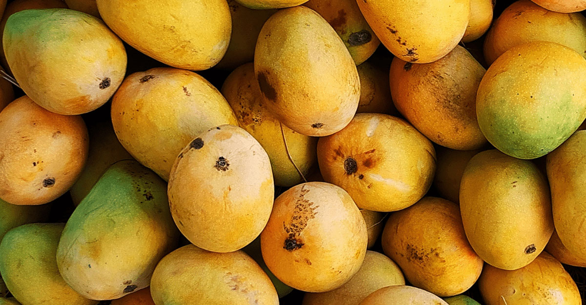 mango