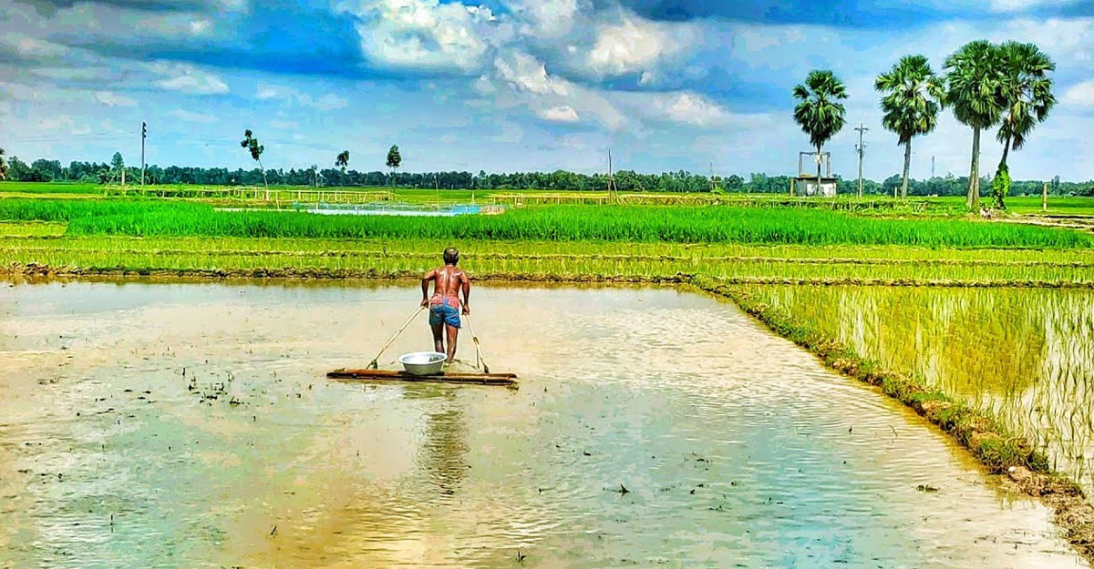 আসছে বর্ষা, সাপ নিয়ে যা জানা জরুরি
