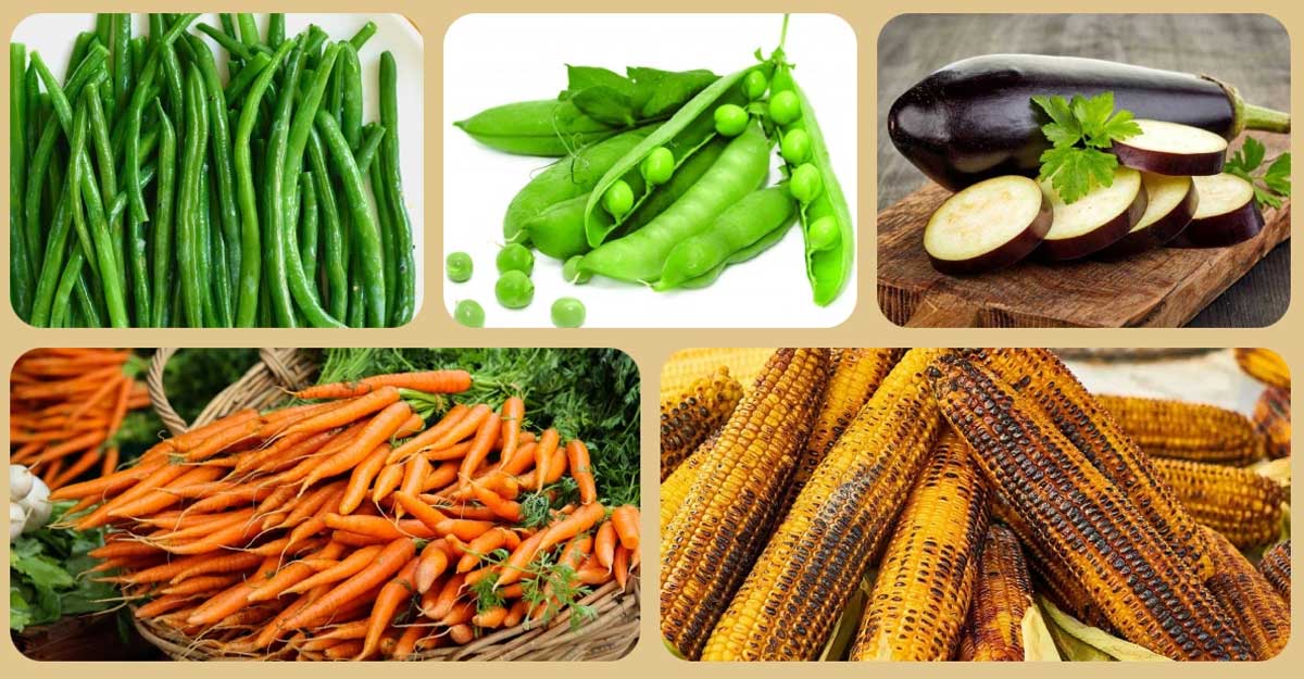 এই ৫ সবজি বেশি খেলে উপকারের চেয়ে ক্ষতি হয়