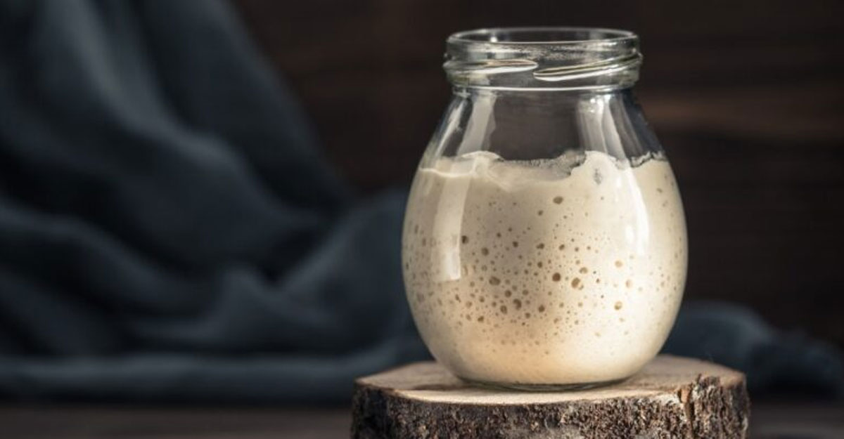 মাত্র দুটি উপাদানেই ঘরে তৈরি করুন ইস্ট