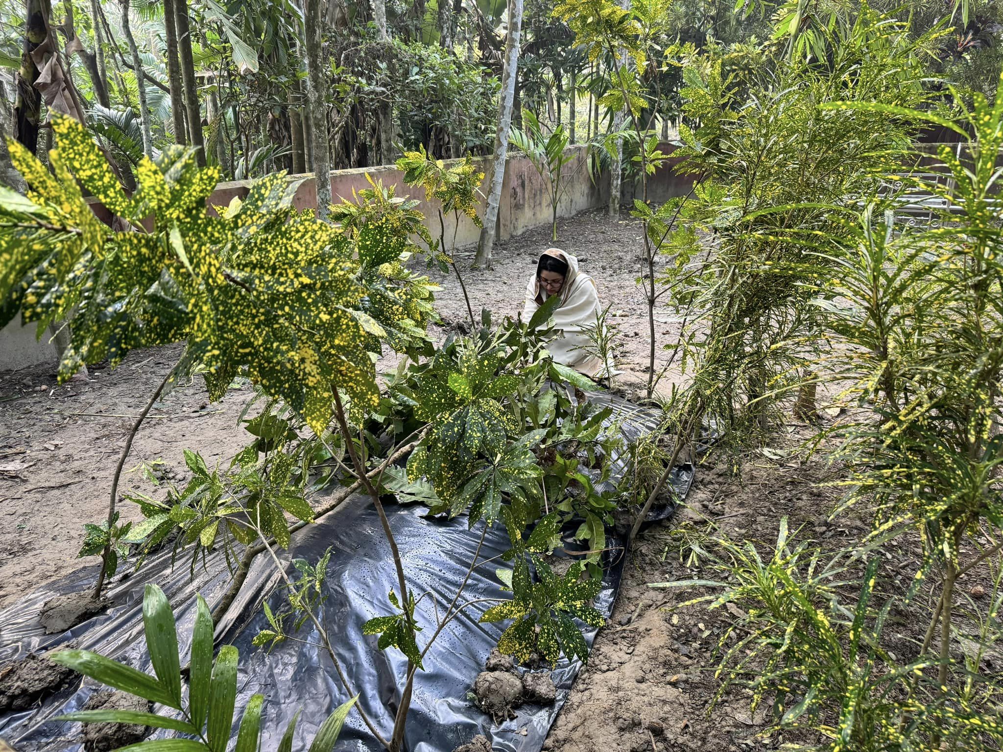 405900359_341893261768715_2088139921996509129_n 405900359_341893261768715_2088139921996509129_n