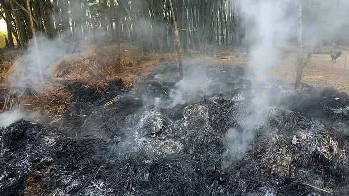 ধান কেটে উঠানে আনলেও তোলা হলো না ঘরে