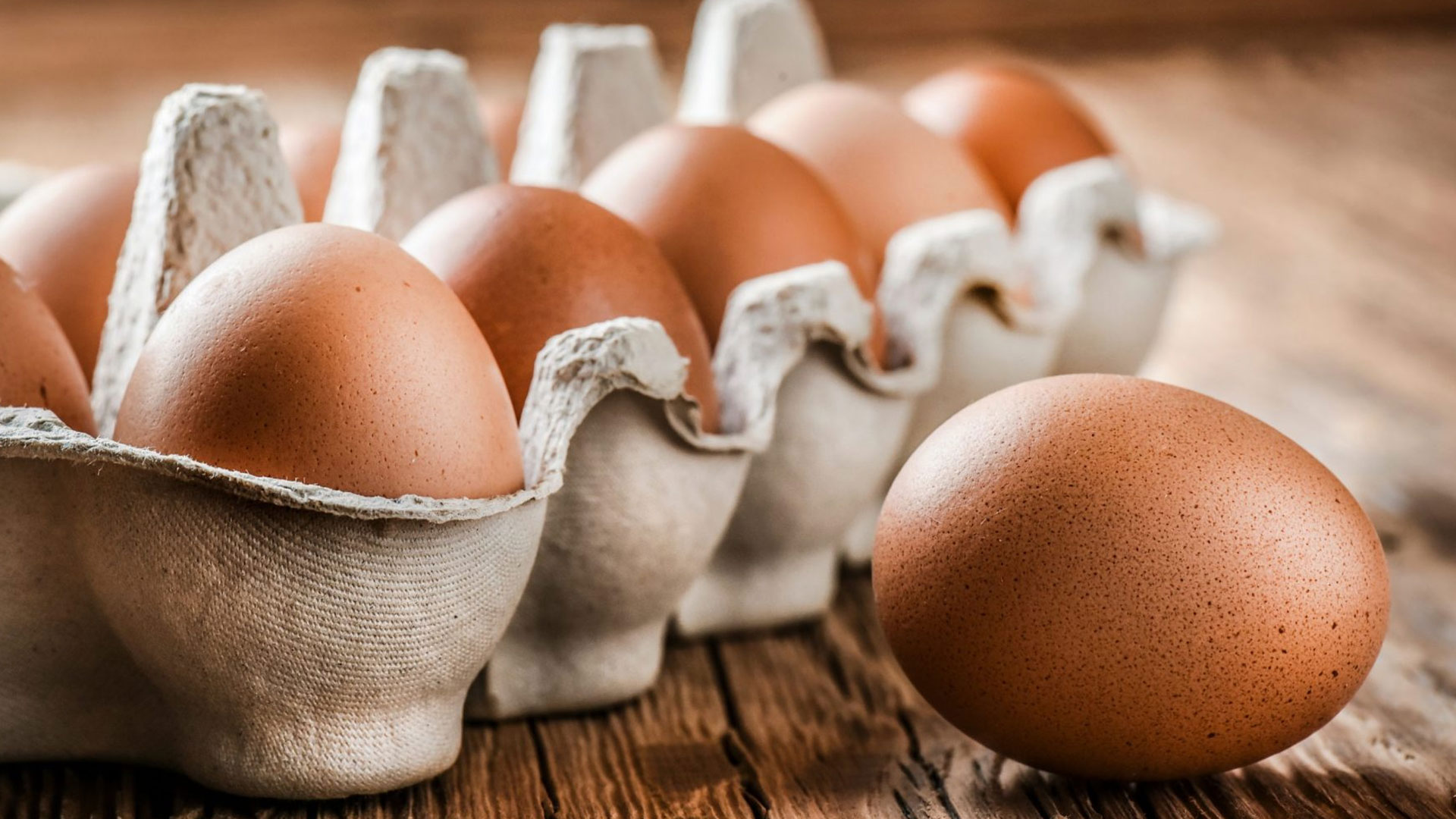 egg4