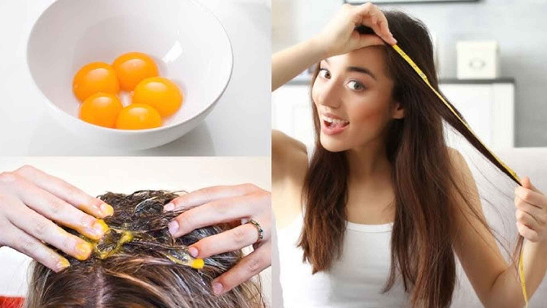 চুলের সমস্যা সমাধানে ডিমের সঙ্গে মেশান ৩ উপাদান 