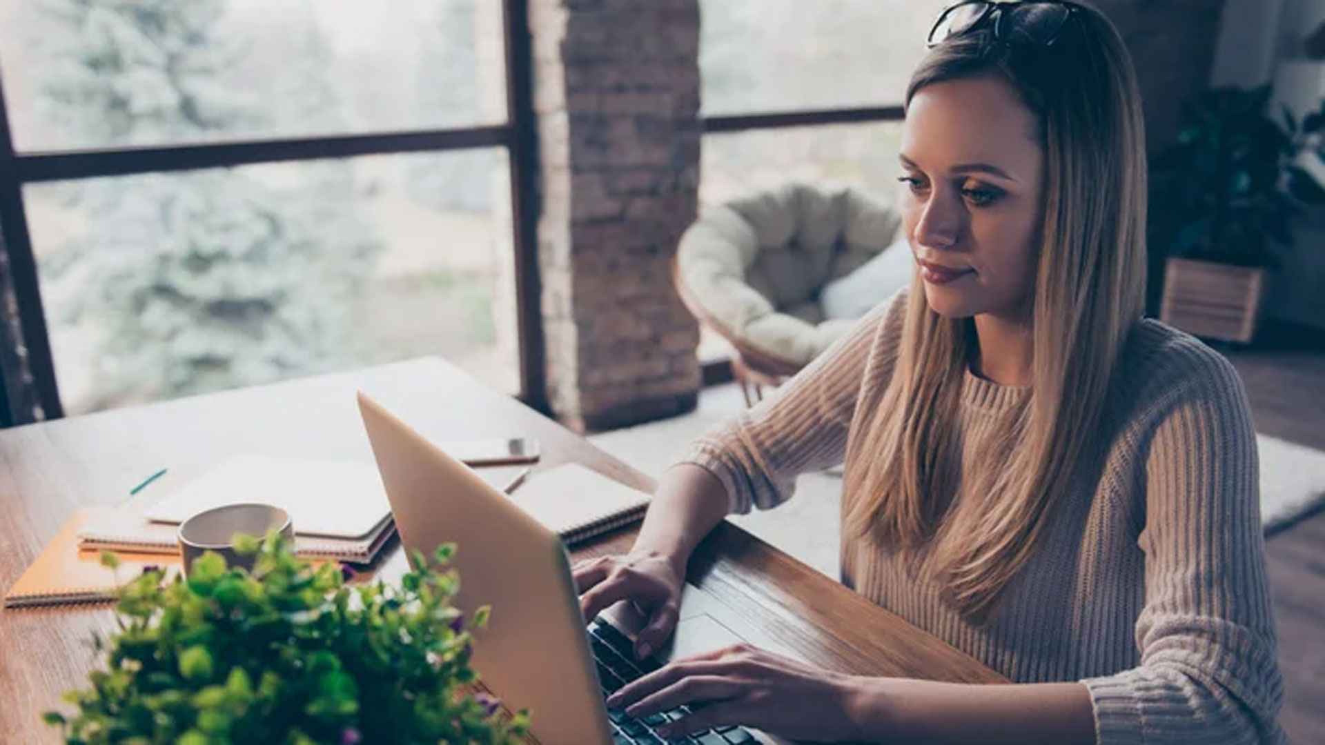 ঢাকায় ৪০০ জনকে নিয়োগ দেবে গোল্ডেন হারভেস্ট, যোগ্যতা এইচএসসি পাস