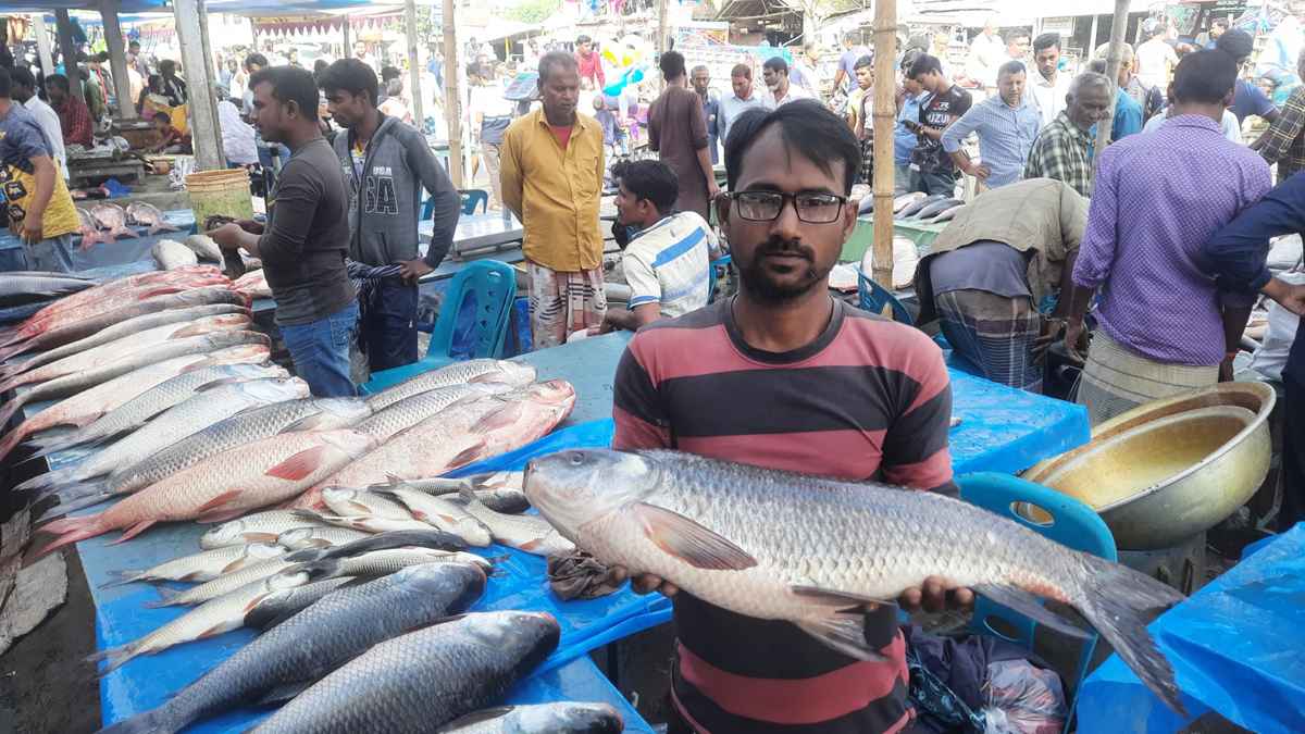 নবান্নে জামাইদের নিয়ে জমে উঠেছে মাছের মেলা