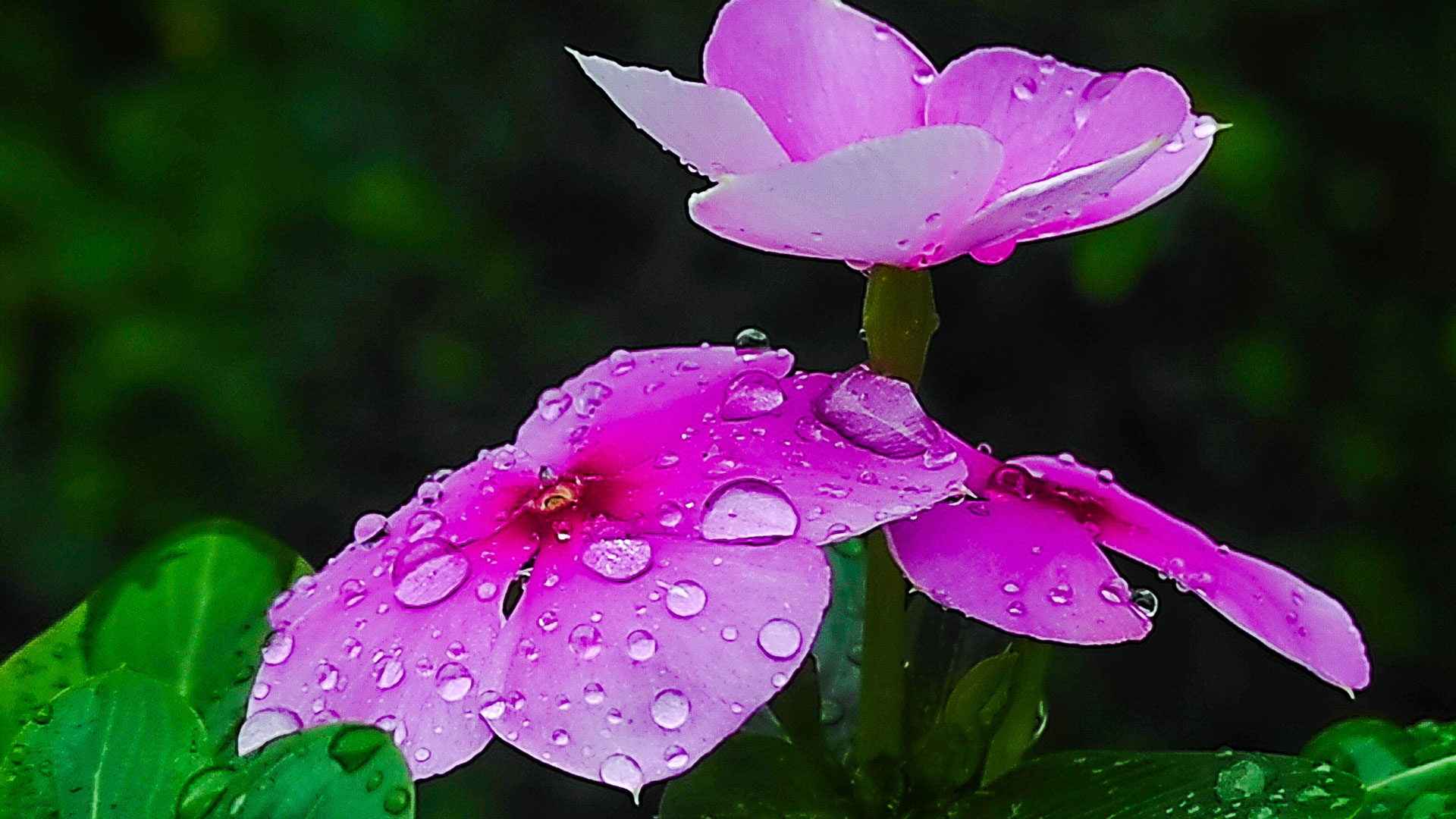 nayantara3 nayantara3