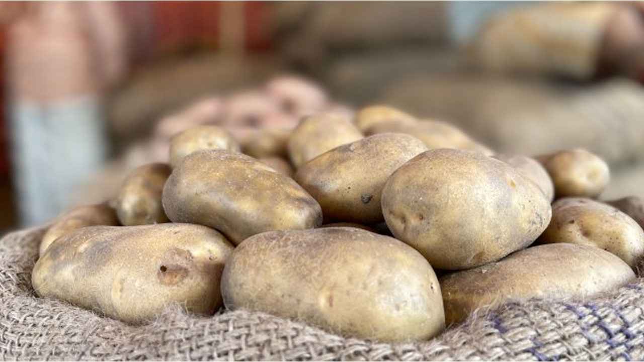 দুই দশকে দাম বেড়েছে প্রায় ১০ গুণ!