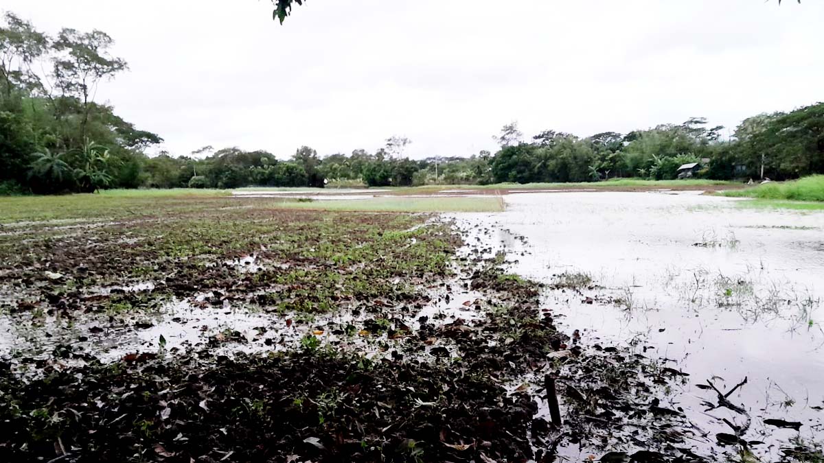 soriyatpur_2