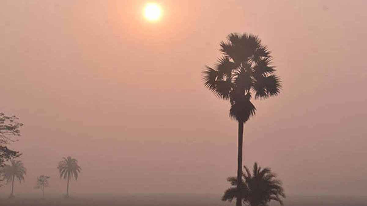 বাড়তে পারে রাতের তাপমাত্রা, কমতে পারে দিনের