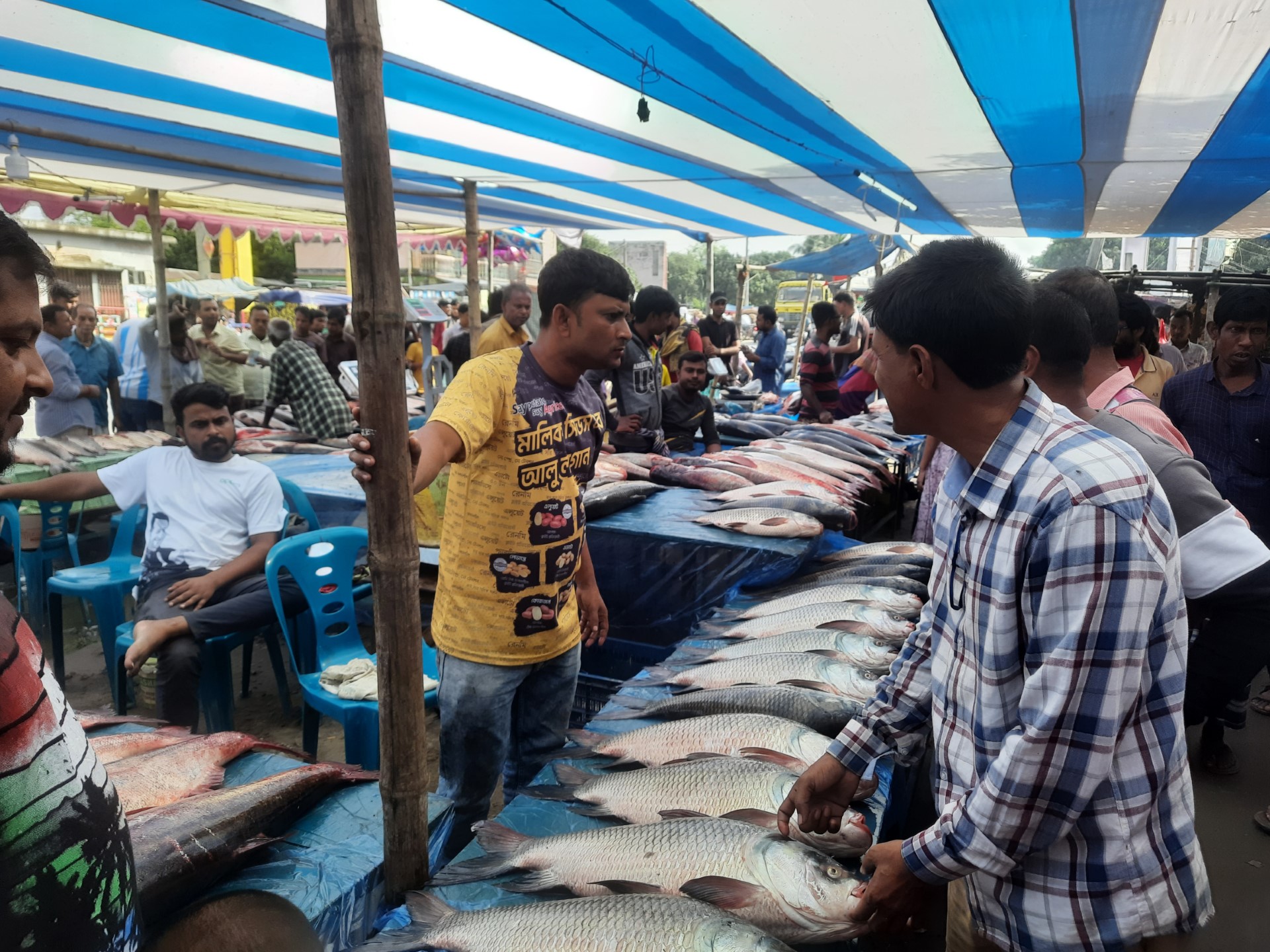 thumbnail_20231118_100032