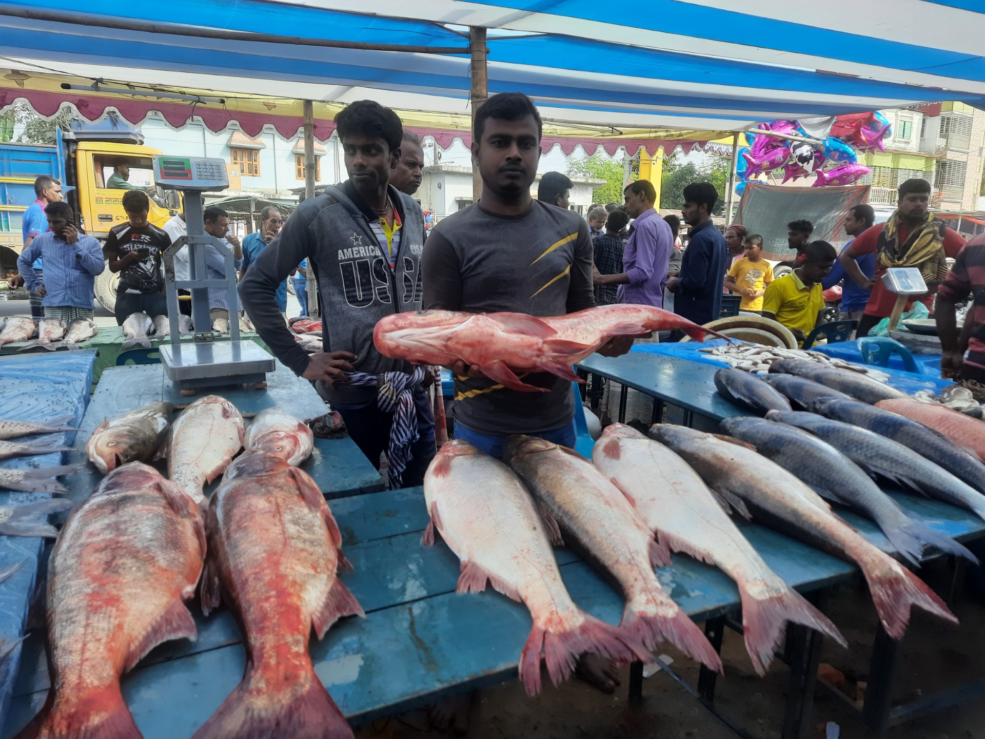 thumbnail_20231118_100100