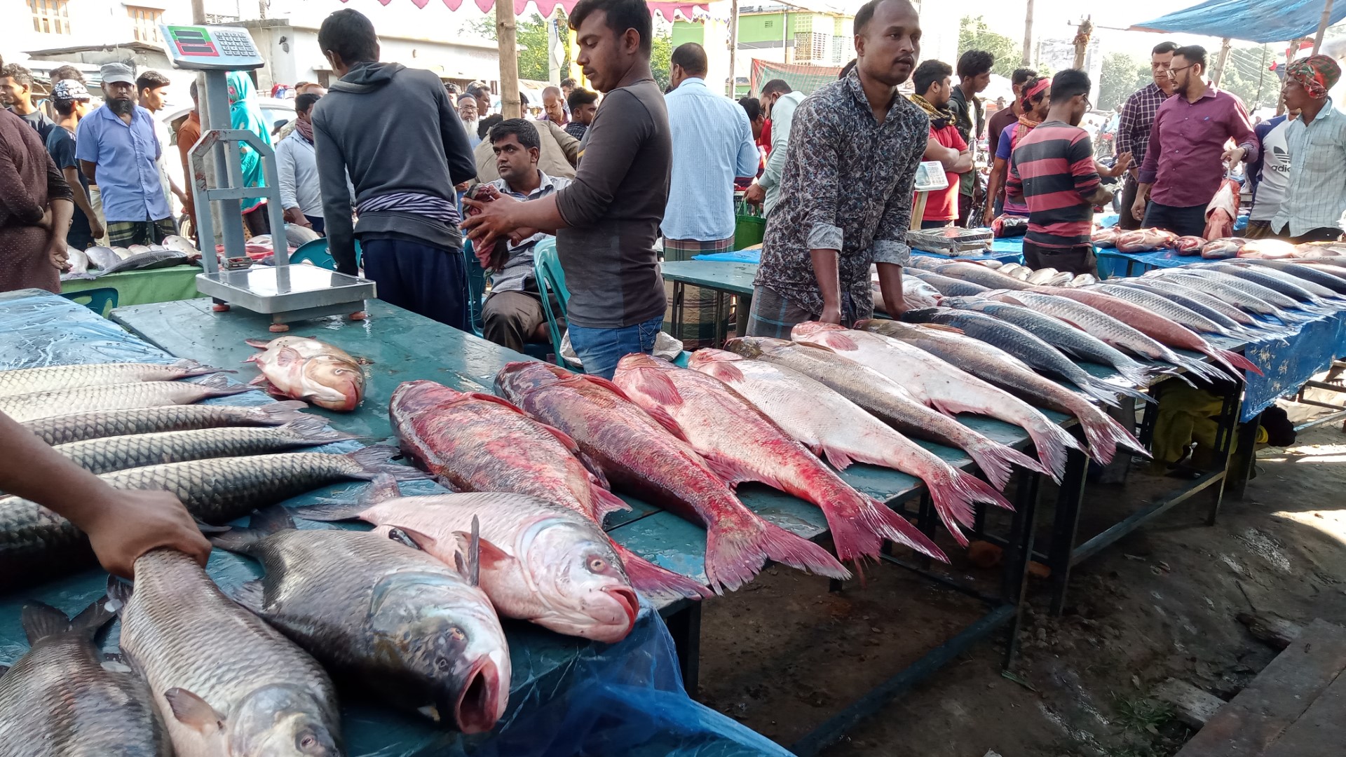 thumbnail_IMG_20231118_085648