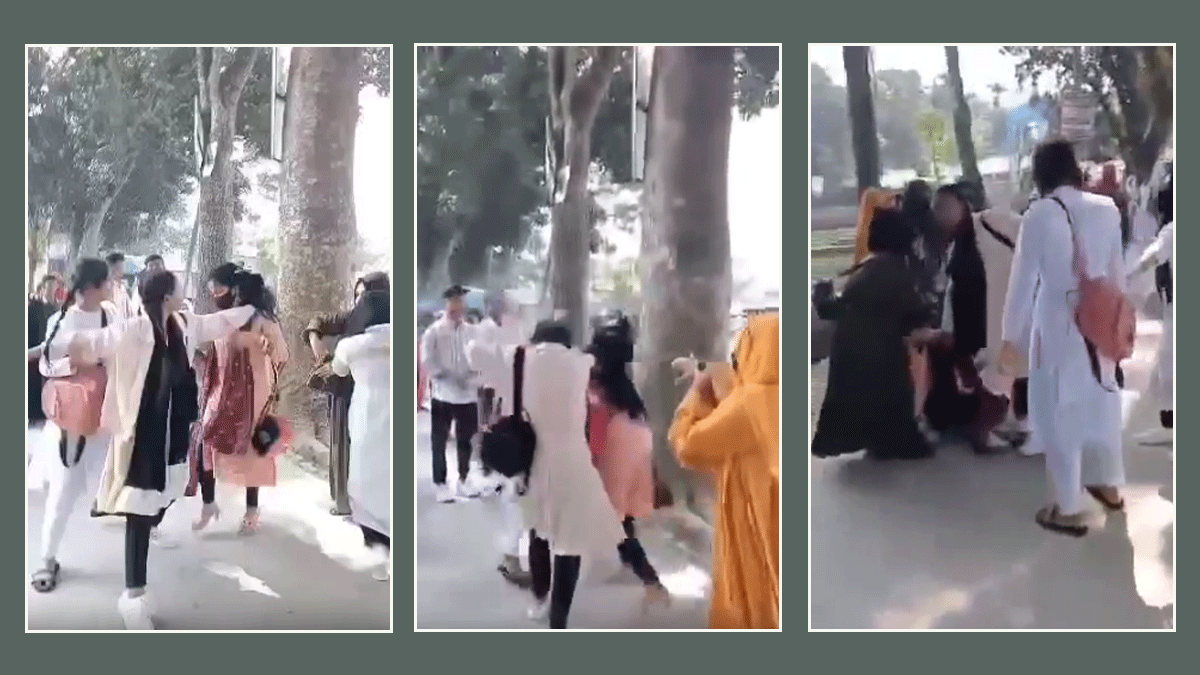 কলেজ ক্যাম্পাসে দুই ছাত্রীর মারামারি, ভিডিও ভাইরাল