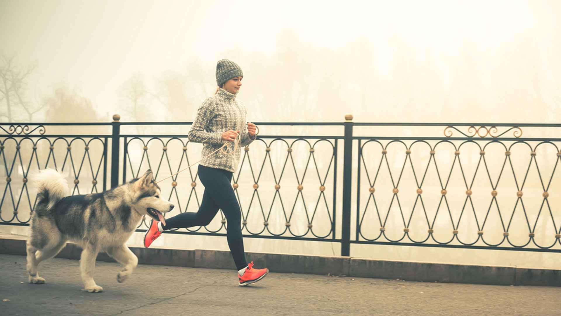 শীতের ভোরে হাঁটা কি স্বাস্থ্যের জন্য ভালো?