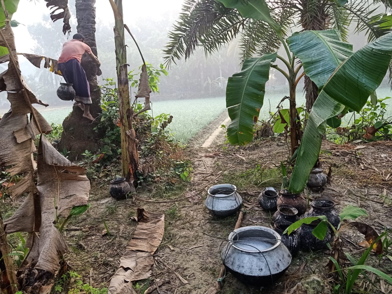 গছি_ঁ_হাড়ি