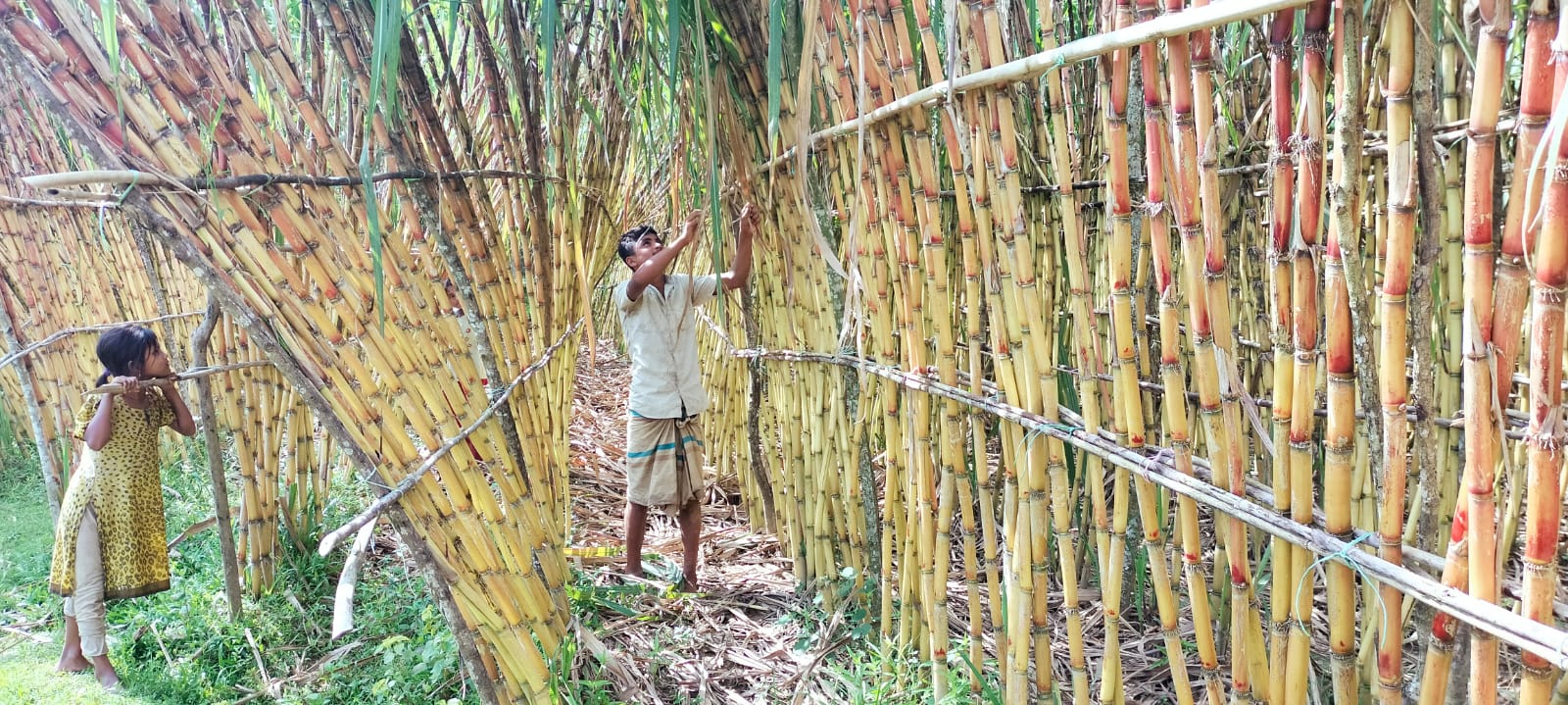 IMG-20231004-WA0006 IMG-20231004-WA0006