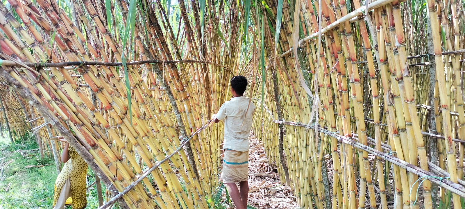 IMG-20231004-WA0008 IMG-20231004-WA0008