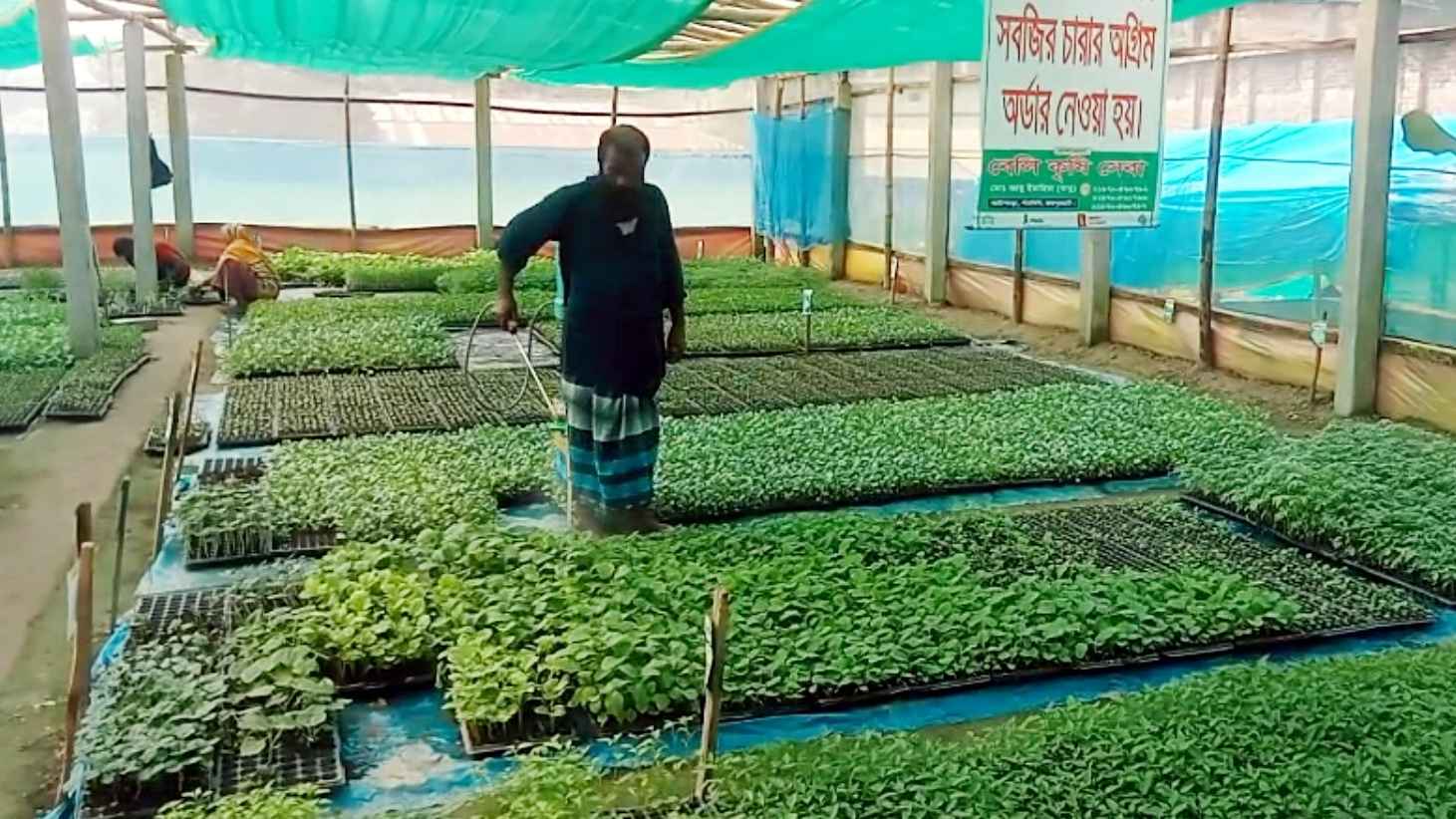 বিষমুক্ত সবজি চাষে আগ্রহ বাড়ছে জয়পুরহাটের কৃষকদের