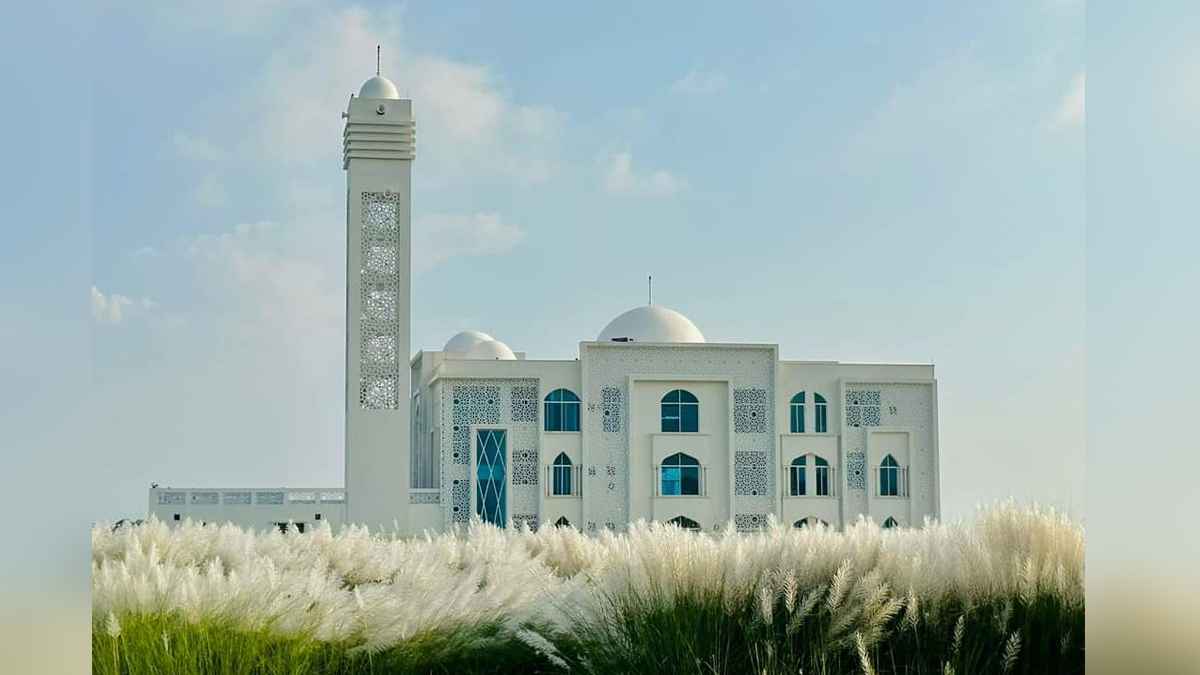 কাশবনে ছবি তোলার হিড়িক, বাড়তি আকর্ষণ মডেল মসজিদ