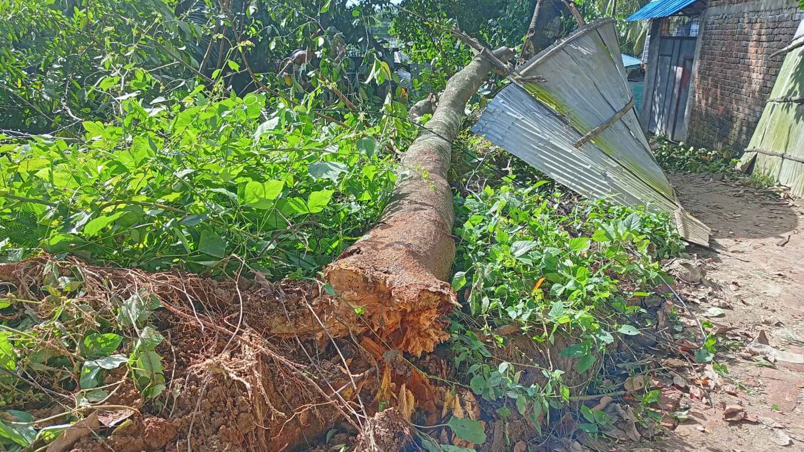 ঘূর্ণিঝড় হামুনের আঘাতে লন্ডভন্ড কক্সবাজার, বিদ্যুৎবিহীন ২০ ঘণ্টা
