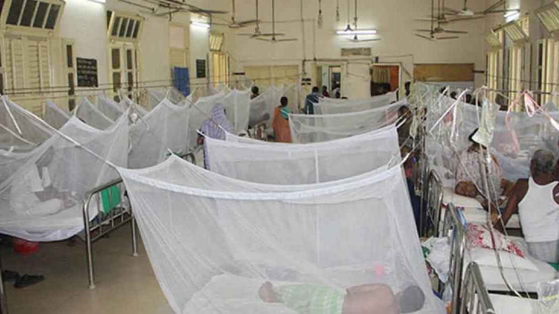 বরিশালে ২৪ ঘণ্টায় ডেঙ্গুতে ৩ জনের মৃত্যু