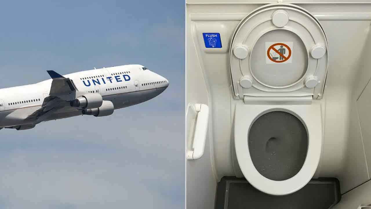 toilet