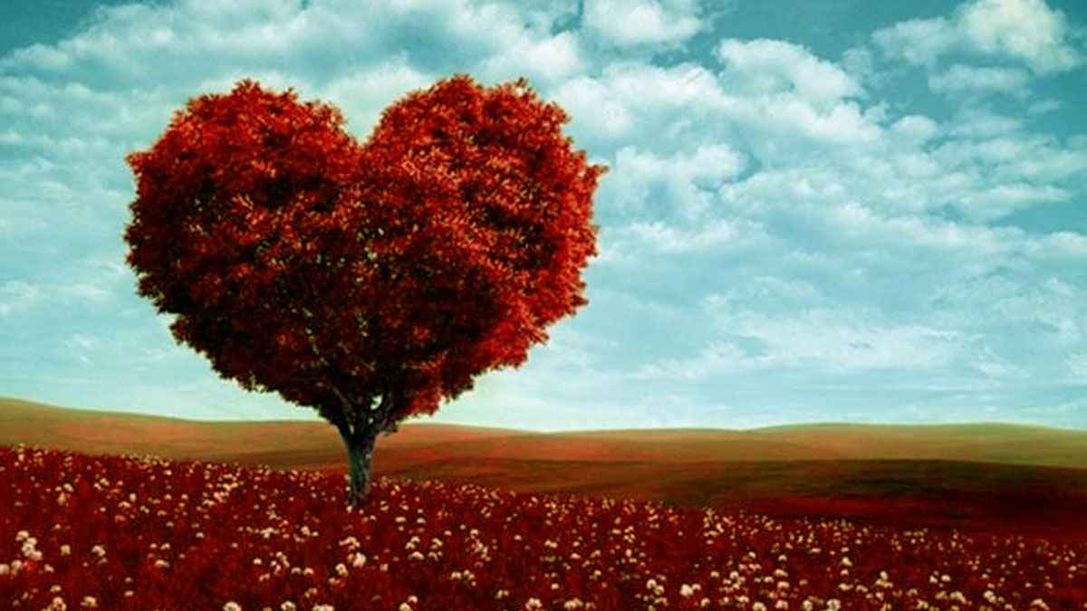 অন্তরের যে সৌন্দর্যে আল্লাহ খুশি হন