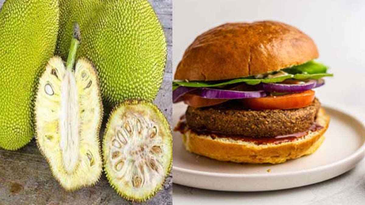 ৪ লাখ পিস কাঁঠালের বার্গার ইউরোপে রফতানি করবে বাংলাদেশ