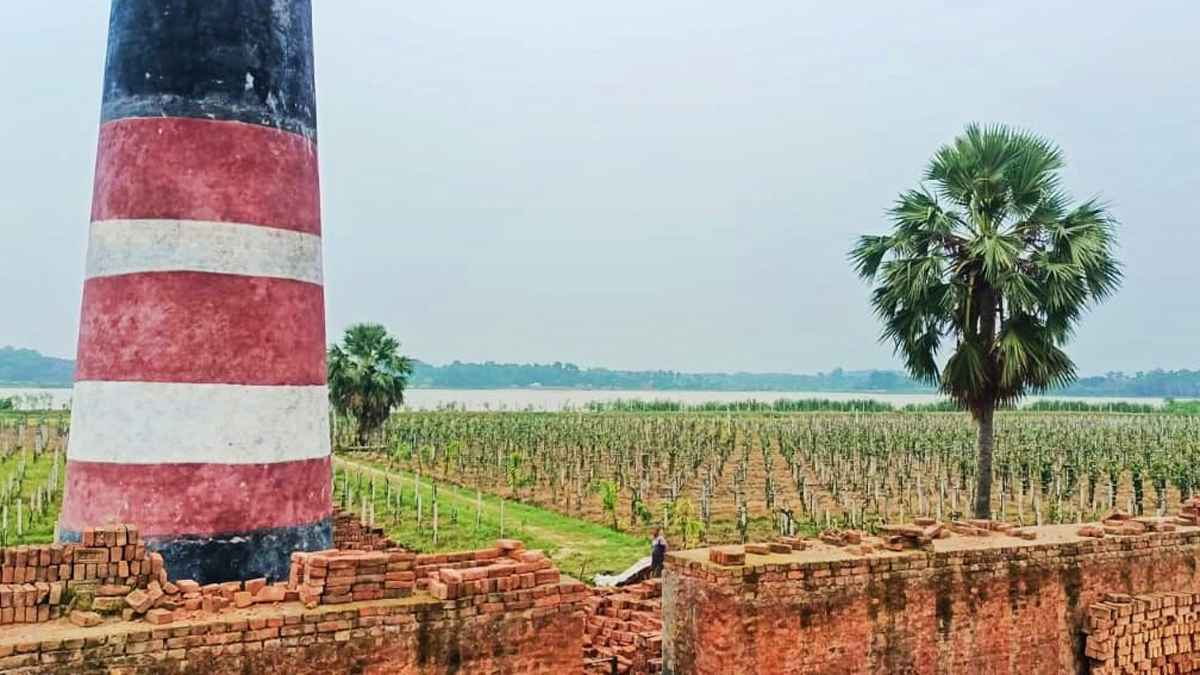 বিবর্ণ ইটভাটা এখন ড্রাগনে সবুজ