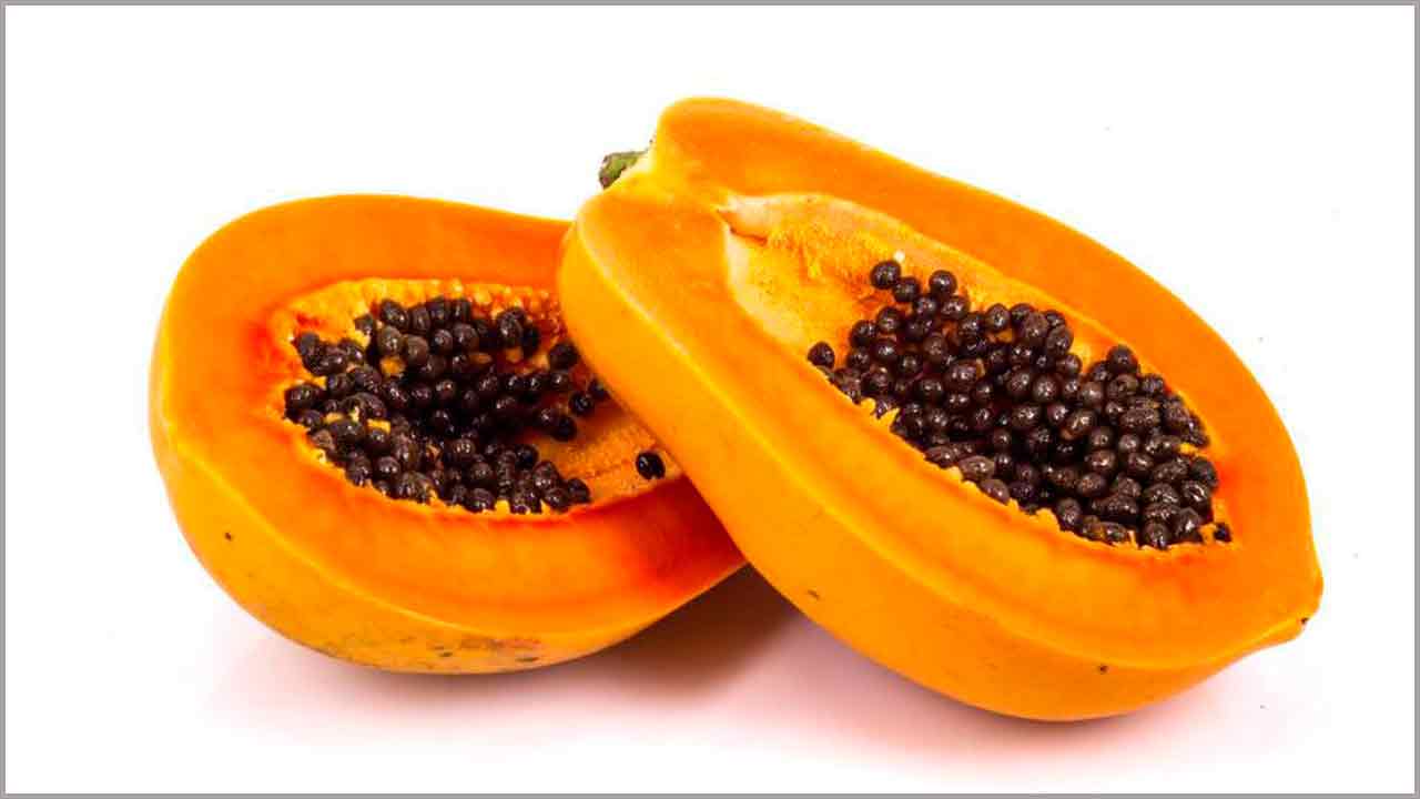 papaya--main papaya--main