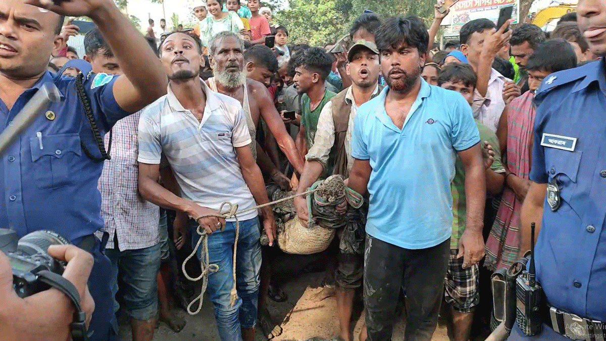 ফরিদপুরের ভুবনেশ্বর নদ থেকে কুমির উদ্ধার