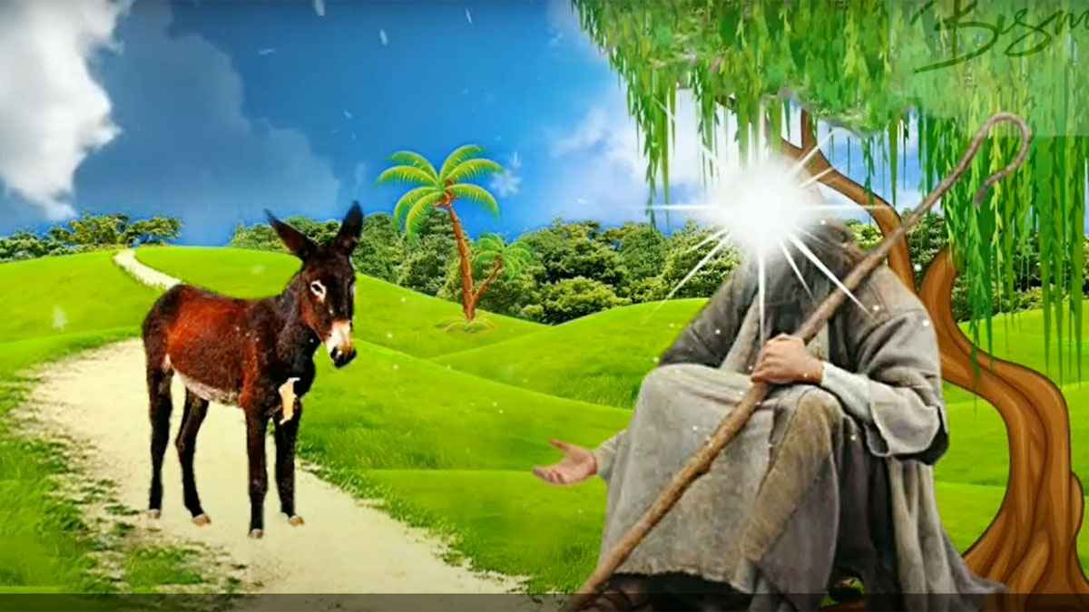 ১০০ বছর পর জীবিত হয়েছিলেন যে নবী