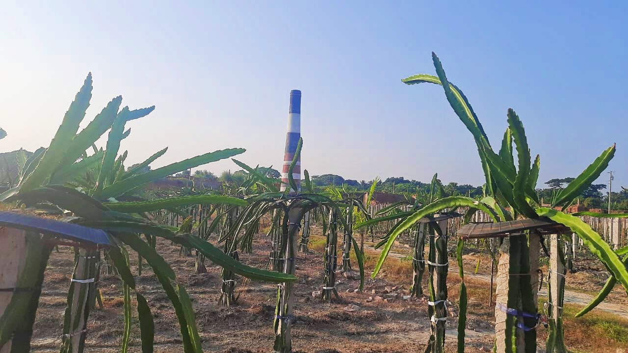 thumbnail_IMG_20231028_203115