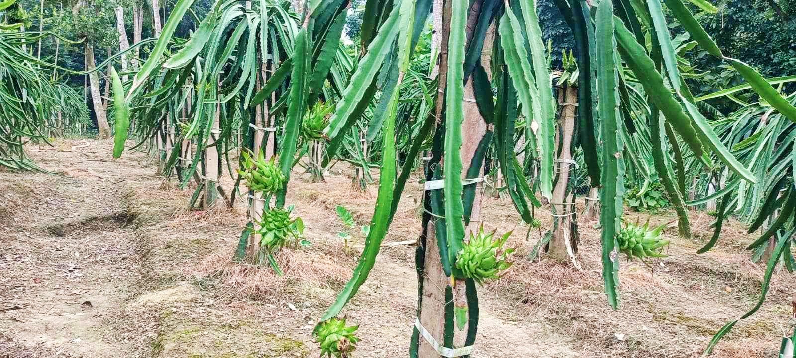 thumbnail_IMG_20231028_203343