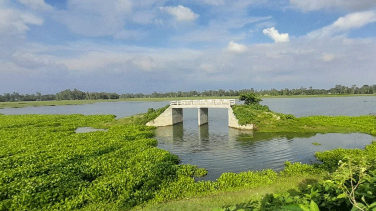 কোনো প্রয়োজনে আসছে না ৩৭ লাখ টাকা সেতু