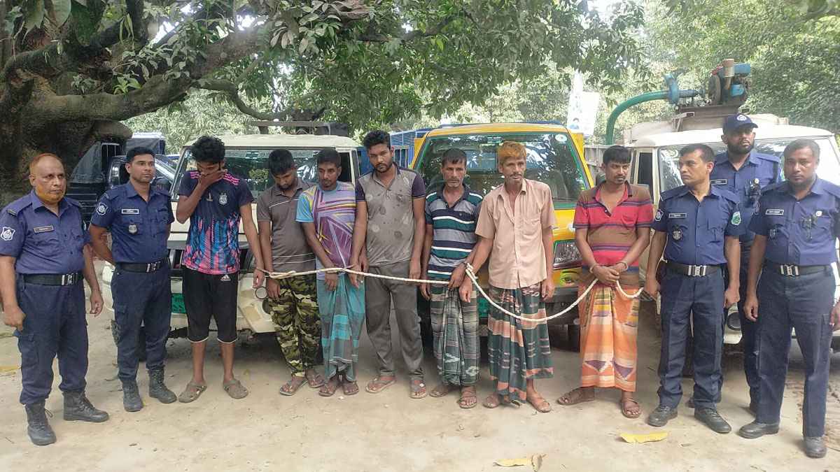 আন্তঃজেলা গরু চোর দলের ৭ সদস্য গ্রেফতার, ৩ লাখ টাকাসহ ৩ পিকআপ জব্দ