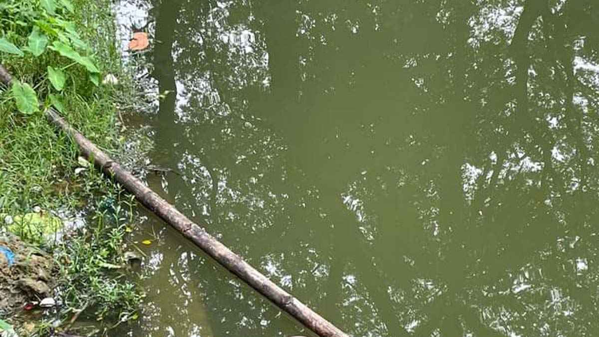 কলেজের পুকুরে ভাসছিল যুবকের লাশ