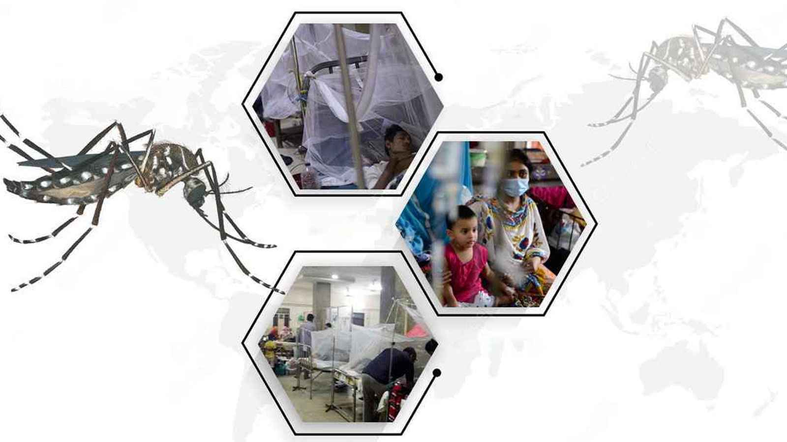 হাসপাতালে ভর্তির ৭২ ঘণ্টায় ৯০ শতাংশ রোগীর মৃত্যু