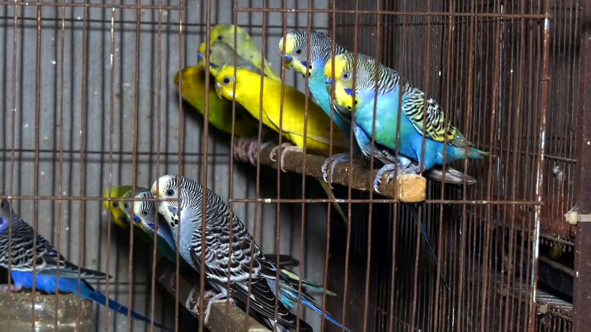 Jamalpur-3 Jamalpur-3