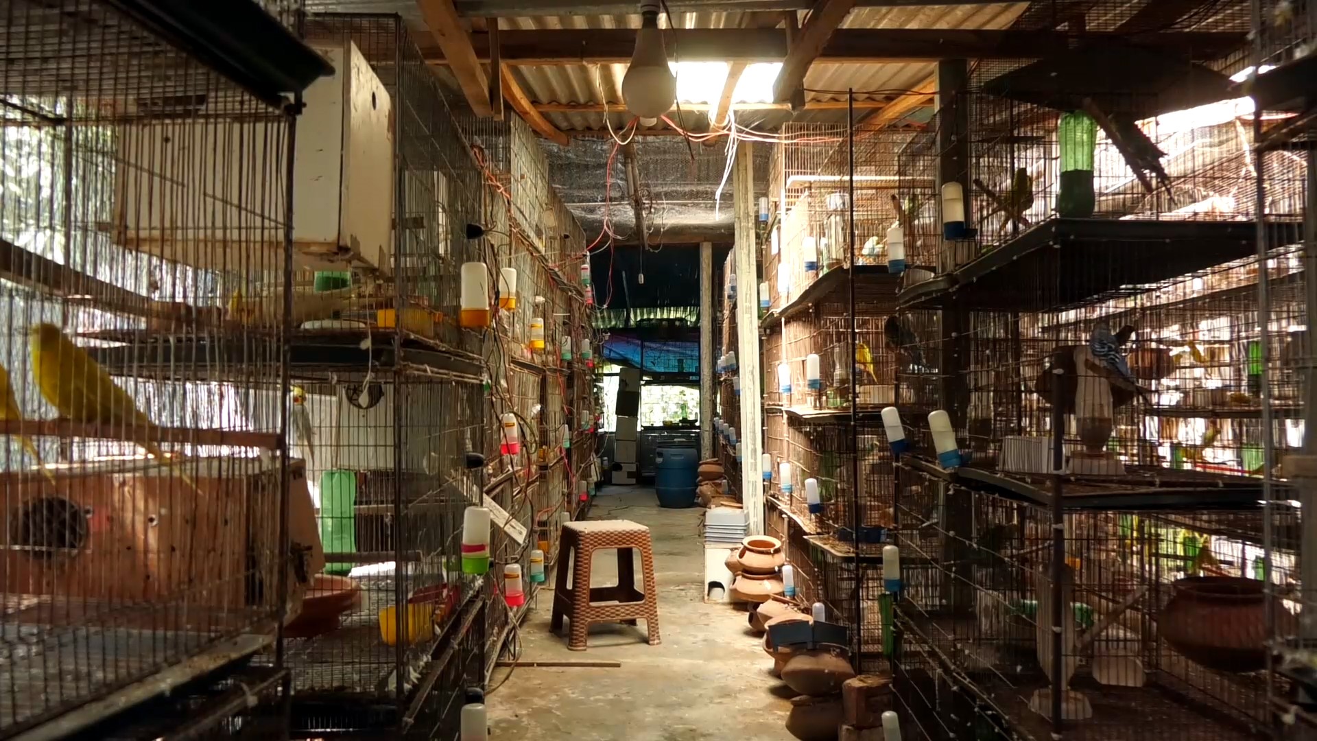 Jamalpur-4 Jamalpur-4